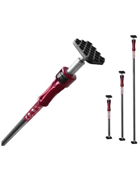 Puntal de Expansión