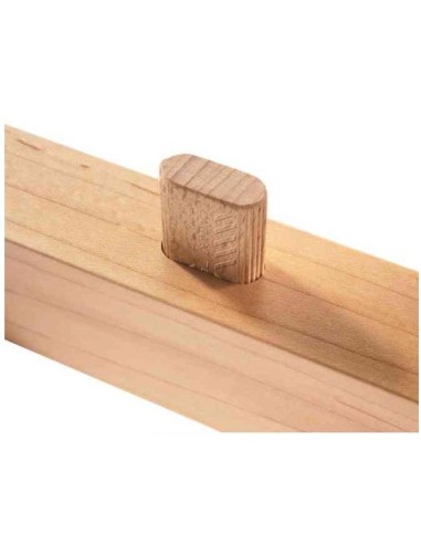 Tacos Domino de Haya