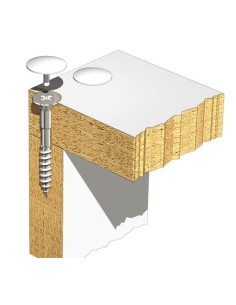 Tornillo para Tapón 2