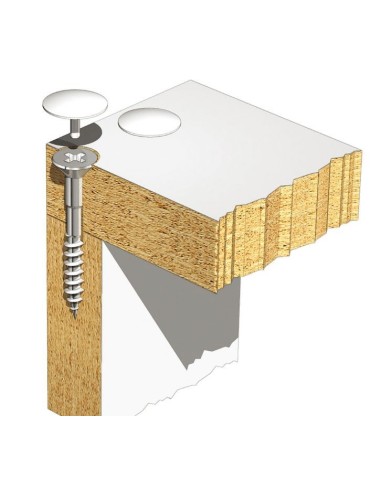 Tornillo para Tapón